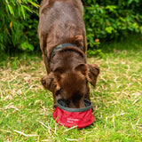 Mountain Paws Collapsible Dog Water Bowl #colour_red