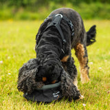 Mountain Paws Collapsible Dog Water Bowl #colour_black