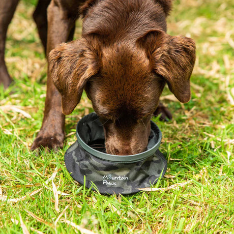 Mountain Paws Collapsible Dog Water Bowl #colour_camo