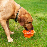 Mountain Paws Collapsible Silicone Dog Bowl #colour_orange