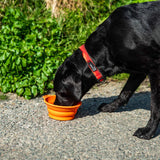 Mountain Paws Collapsible Silicone Dog Bowl #colour_orange