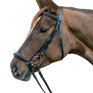 STAR Hannover Bridle #colour_black