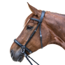 STAR Bitless Bridle