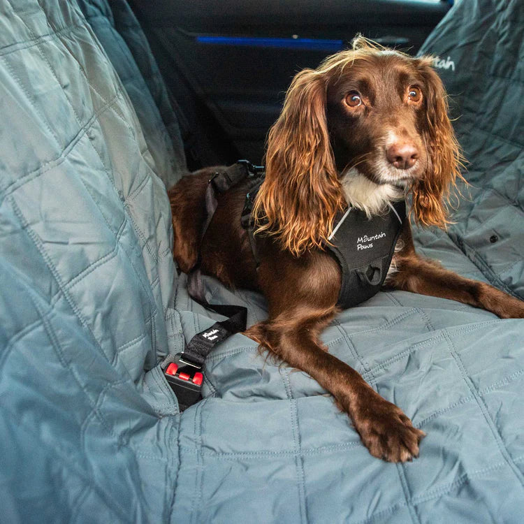 Mountain Paws Dog Seat Belt