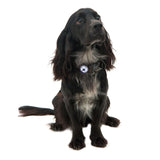 Mountain Paws Dog Safety Light