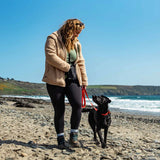 Mountain Paws Dog Snack Pack