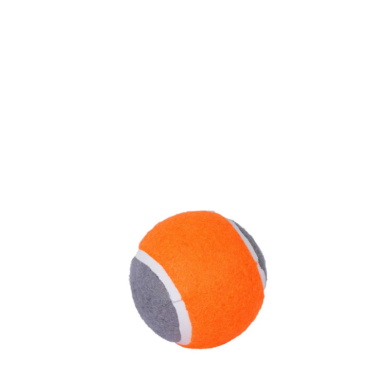 Mountain Paws Dog Tennis Balls