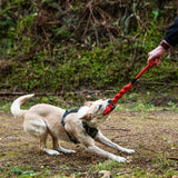 Mountain Paws Braided Chew Rope Dog Toy #colour_orange