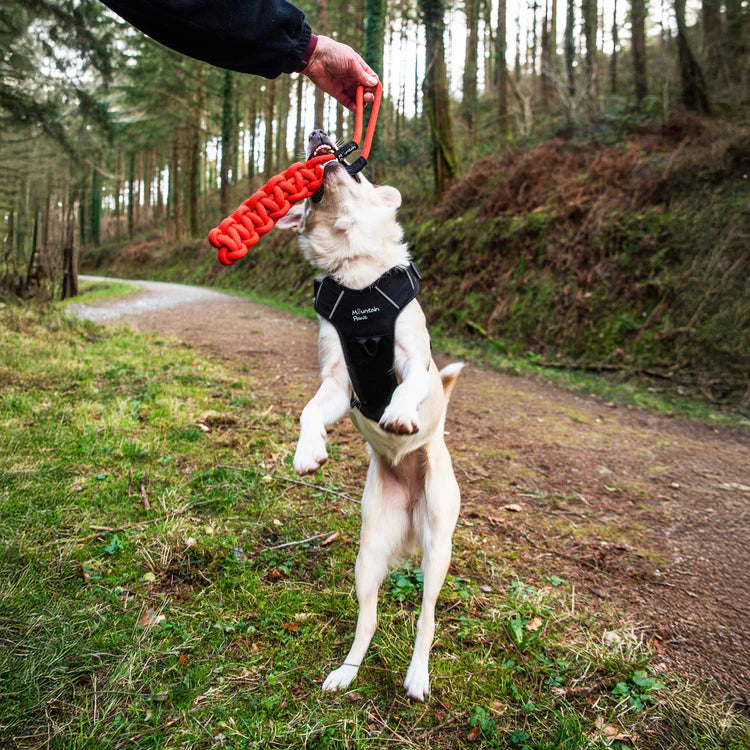 Mountain Paws Braided Chew Rope Dog Toy #colour_orange