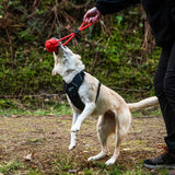 Mountain Paws Ball Chew Rope Dog Toy #colour_orange