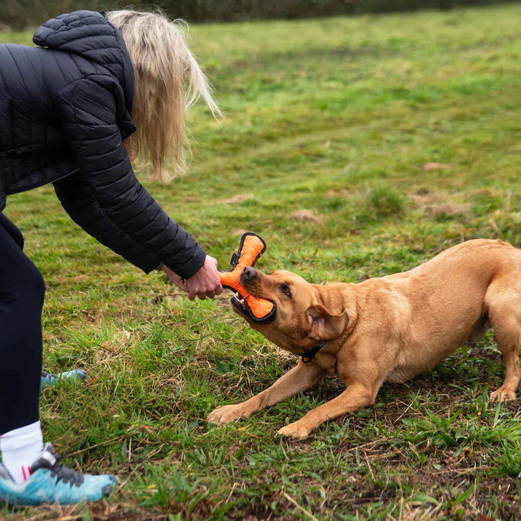 Mountain Paws Rubber Throw Dog Toy #colour_orange