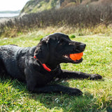 Mountain Paws Dog Wave Treat Ball Dispenser #colour_orange
