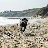 Mountain Paws Rubber Bone Dog Toy #colour_green