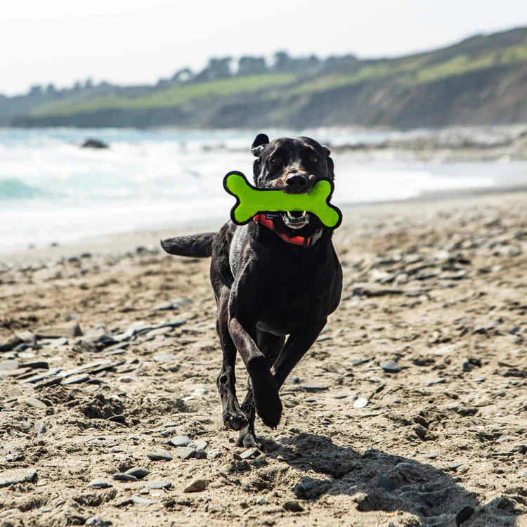 Mountain Paws Rubber Bone Dog Toy #colour_green