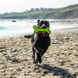 Mountain Paws Rubber Bone Dog Toy #colour_green