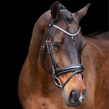 Imperial Riding Olympia Bridle #colour_black-silver