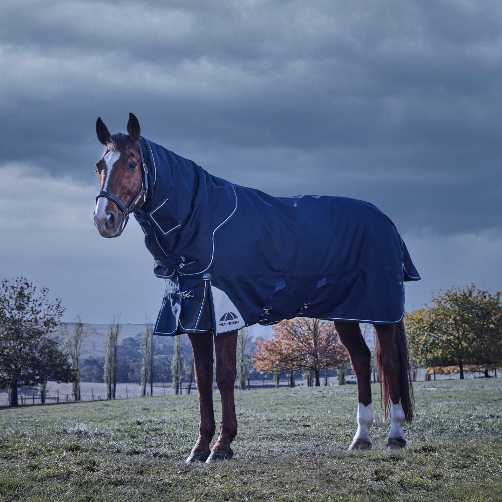 Weatherbeeta Comfitec Ultra 220G Detach-A-Neck Turnout #colour_navy
