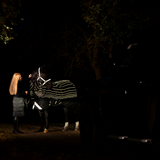 Horseware Ireland Amigo 1200D FieldSafe Reflectech Plus 0g Turnout Rug #colour_black-reflective-black
