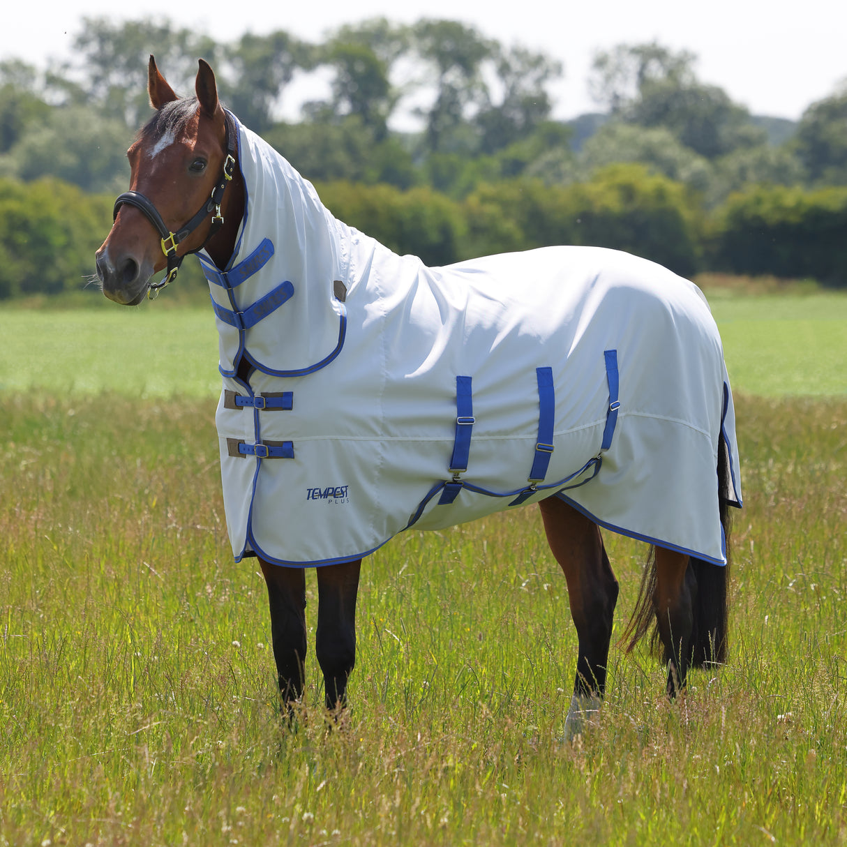 Shires Tempest Plus Sweet-Itch Combo Rug #colour_white-airforce