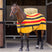 Tempest Original Newmarket Fleece Rug #colour_newmarket-stripe