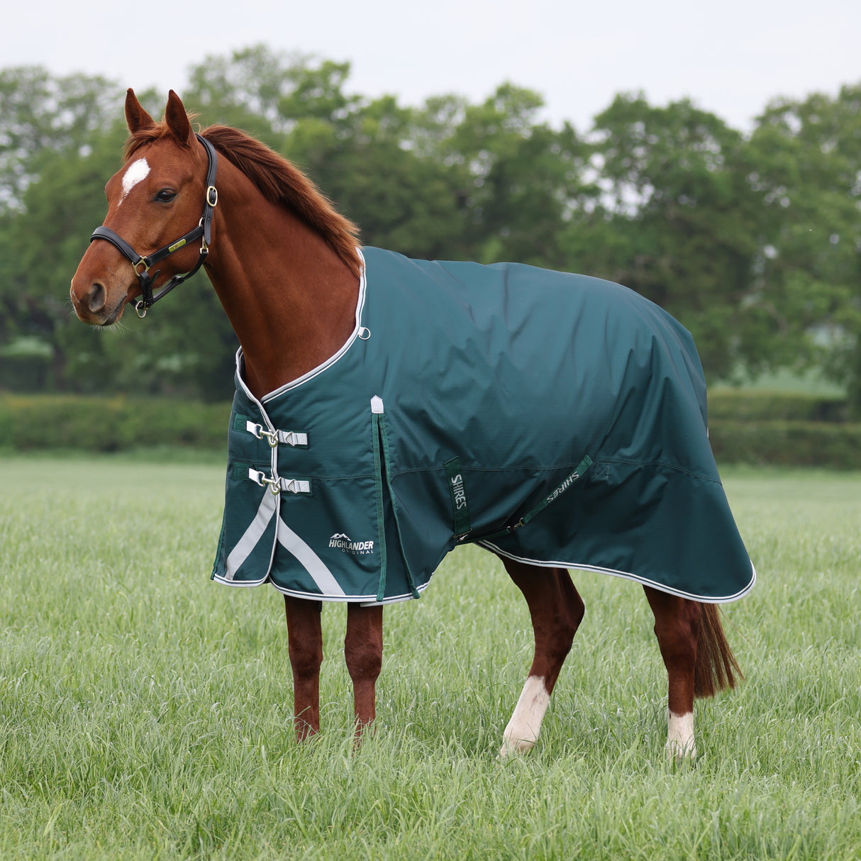 Shires Highlander Original 300g Turnout Rug #colour_green