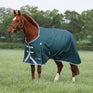 Shires Highlander Original 300g Turnout Rug #colour_green