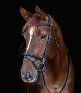 Waldhausen X-Line Bridle Work #colour_black