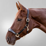 Waldhausen S-Line Royal Leather Halter #colour_black