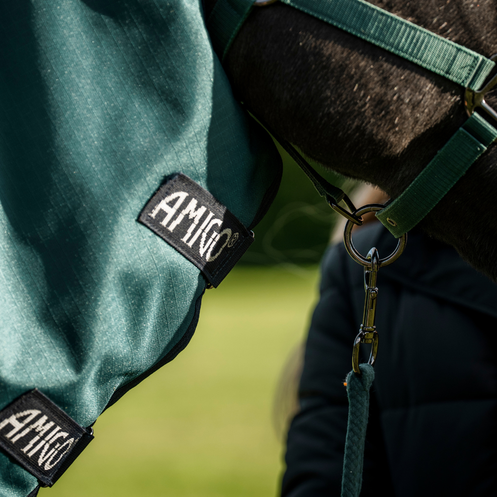 Horseware Ireland Amigo Ripstop 900D Plus 200g Pony Turnout Rug #colour_dynasty-green-navy-silver