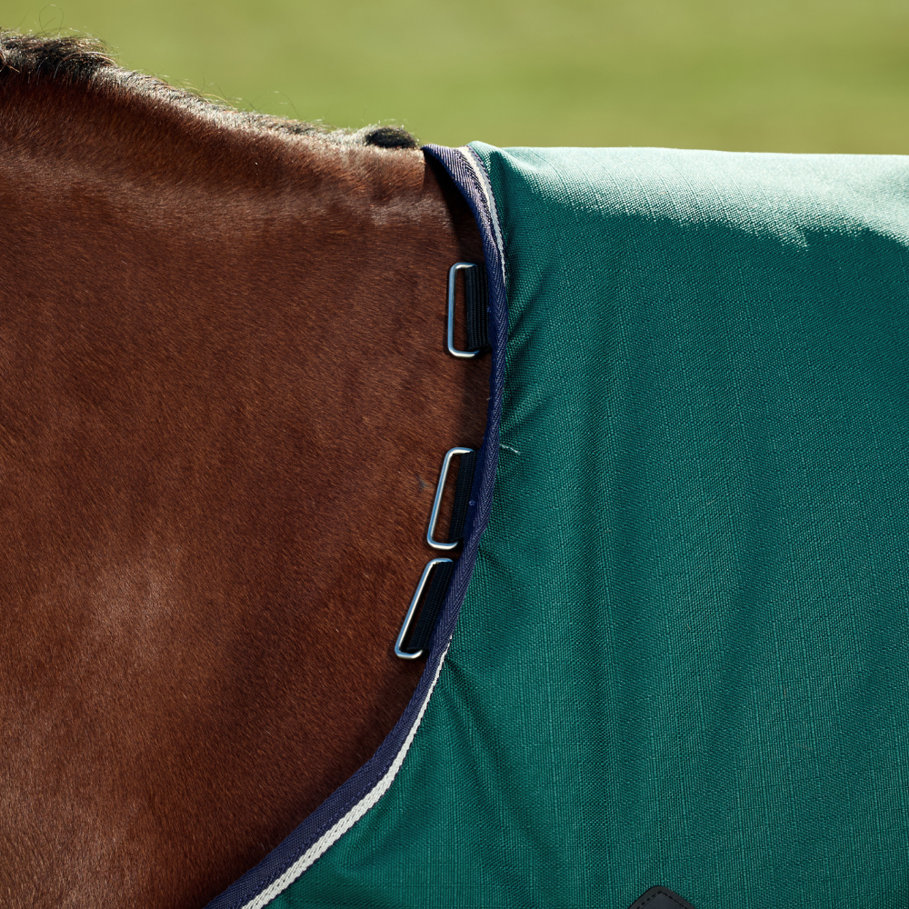 Weatherbeeta Comfitec Plus Dynamic 0G Turnout #colour_forest-green-navy