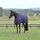 Weatherbeeta Comfitec Essential 220G Turnout #colour_navy-burgundy