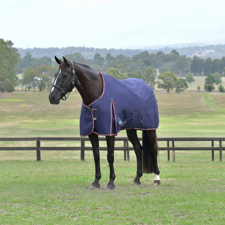 Weatherbeeta Comfitec Essential 220G Turnout #colour_navy-burgundy