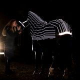 Horseware Ireland Amigo 1200D FieldSafe Reflectech Plus 100g Turnout Rug #colour_black-reflective-black