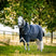 Horseware Ireland Rambo Supreme 1680D Turnout Plus 50g #colour_navy-thunderstorm-grey-silver