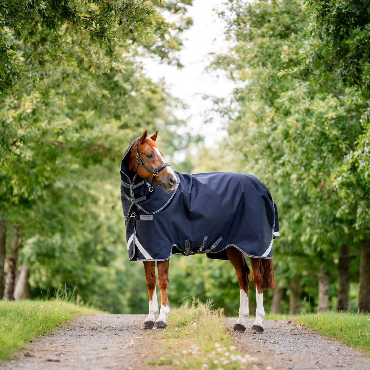 Horseware Ireland Rambo Supreme 1680D Turnout Plus 50g #colour_navy-thunderstorm-grey-silver