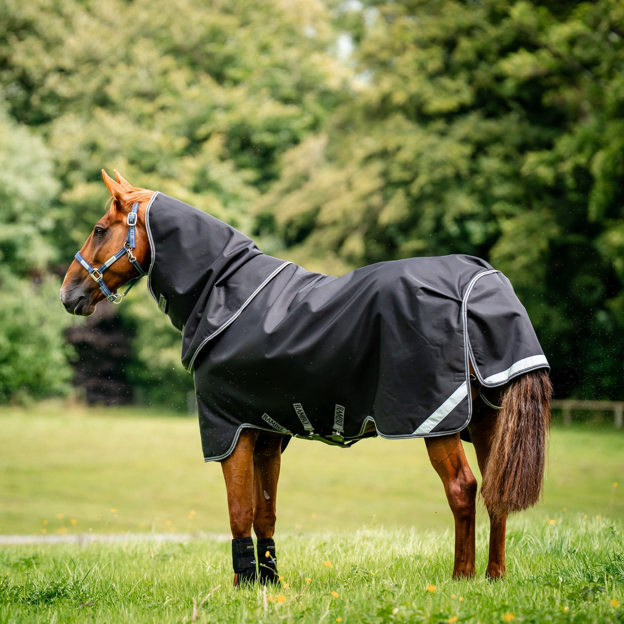 Horseware Ireland Rambo Supreme 1680D Turnout Plus 50g #colour_black-thunderstorm-grey-silver