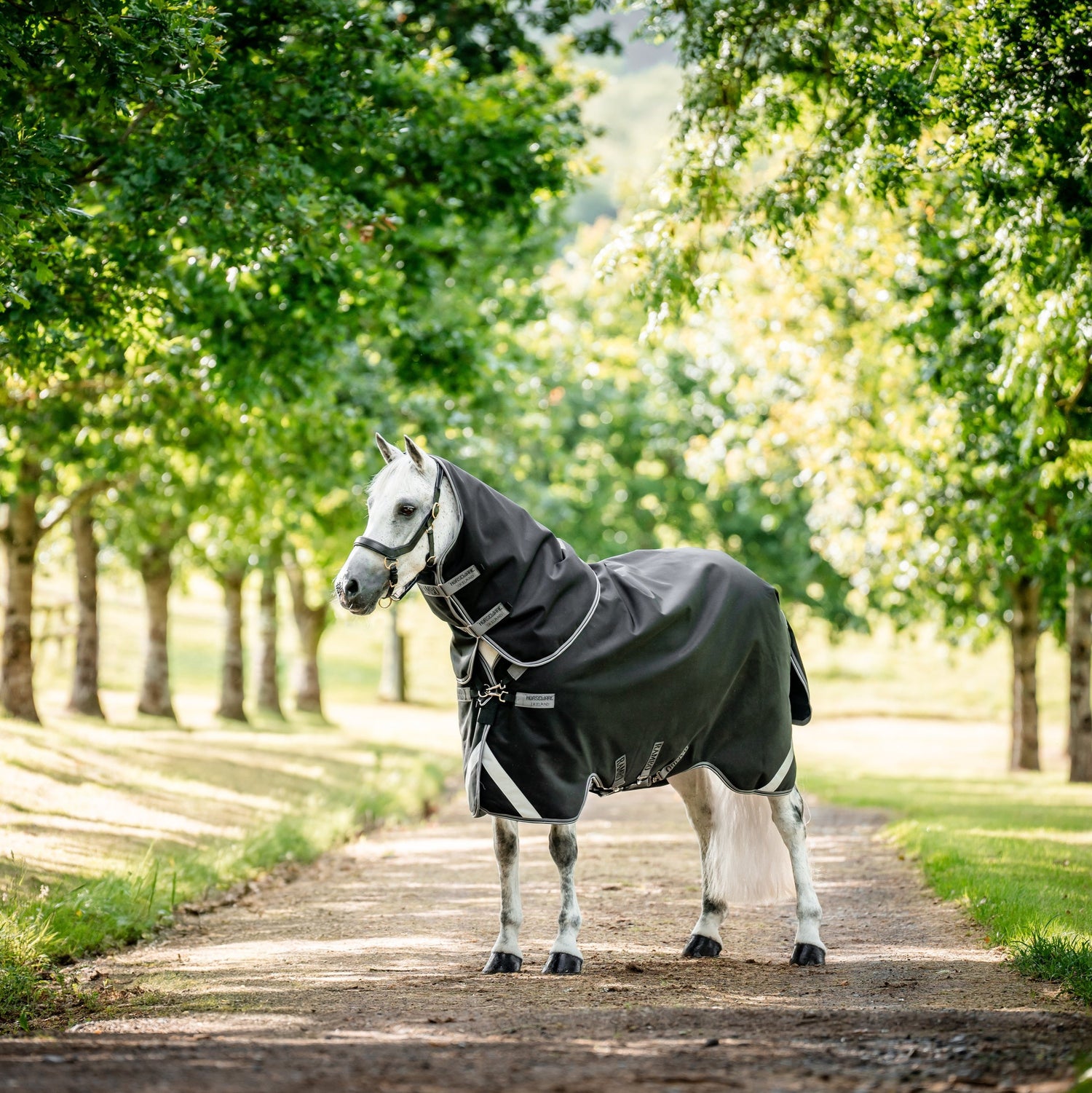 Horseware Ireland Rambo Supreme 1680D Turnout Plus 50g #colour_black-thunderstorm-grey-silver