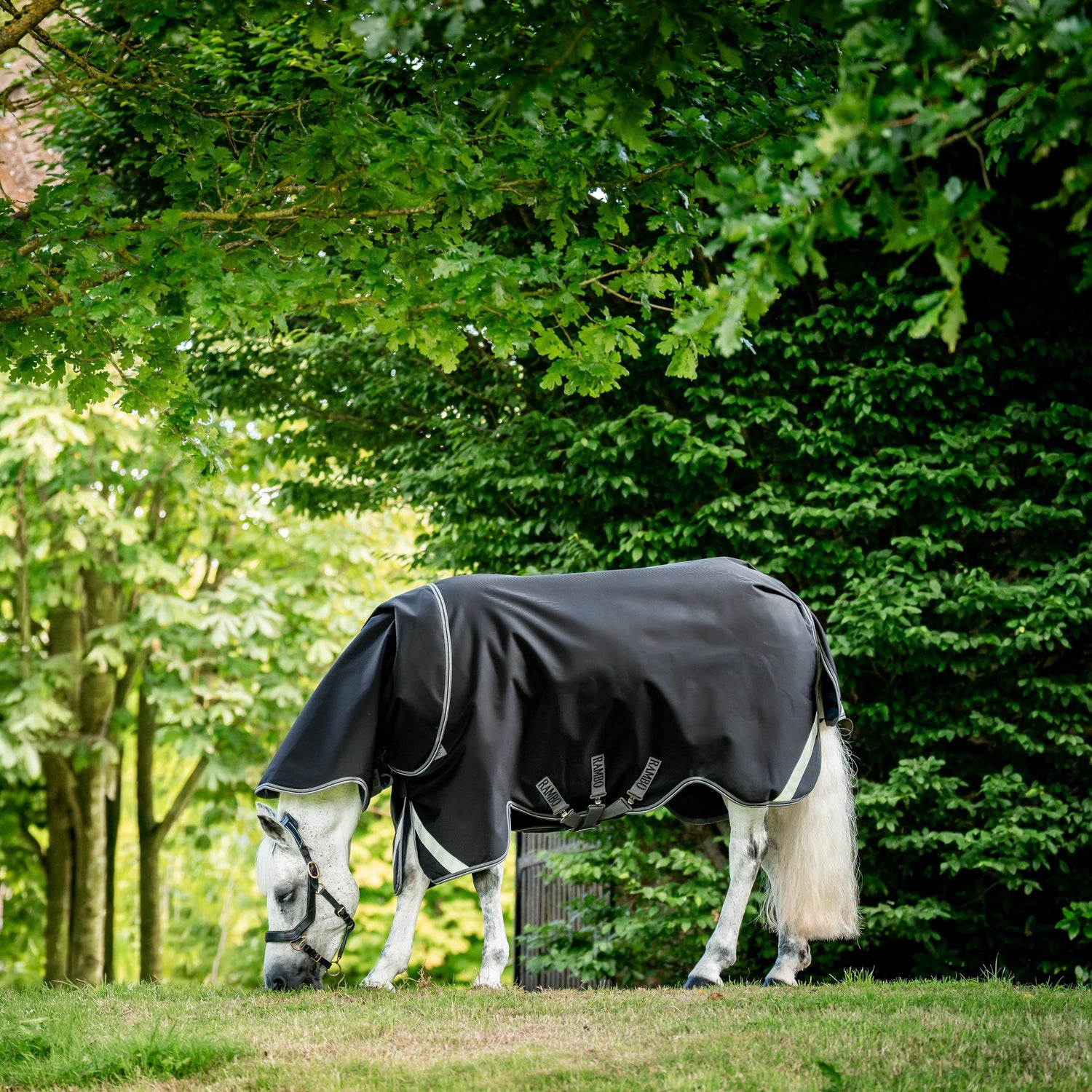 Horseware Ireland Rambo Supreme 1680D Turnout Plus 50g #colour_black-thunderstorm-grey-silver