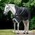 Horseware Ireland Rambo Wug Turnout Lite 0g #colour_black-thunderstorm-grey-silver