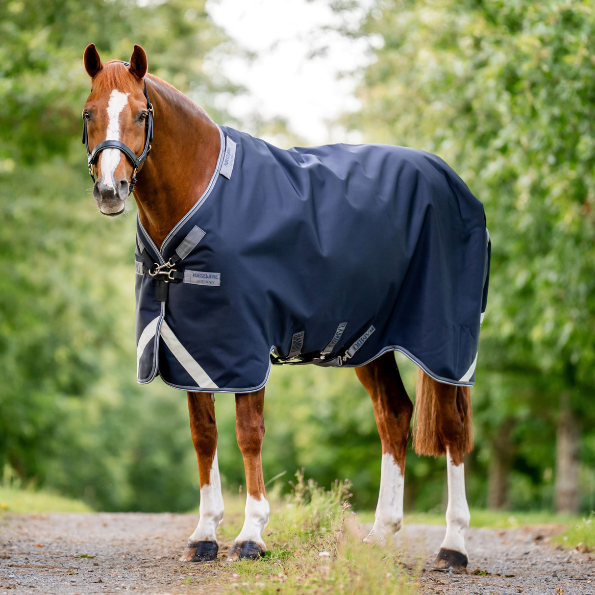 Horseware Ireland Rambo 1680D 450g Vari-Layer Turnout Rug #colour_navy-thunderstorm-grey-silver