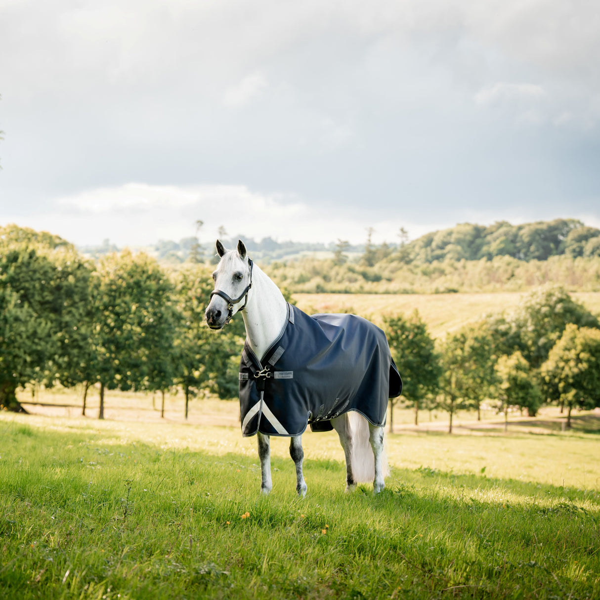 Horseware Ireland Rambo 1680D 450g Vari-Layer Turnout Rug #colour_navy-thunderstorm-grey-silver