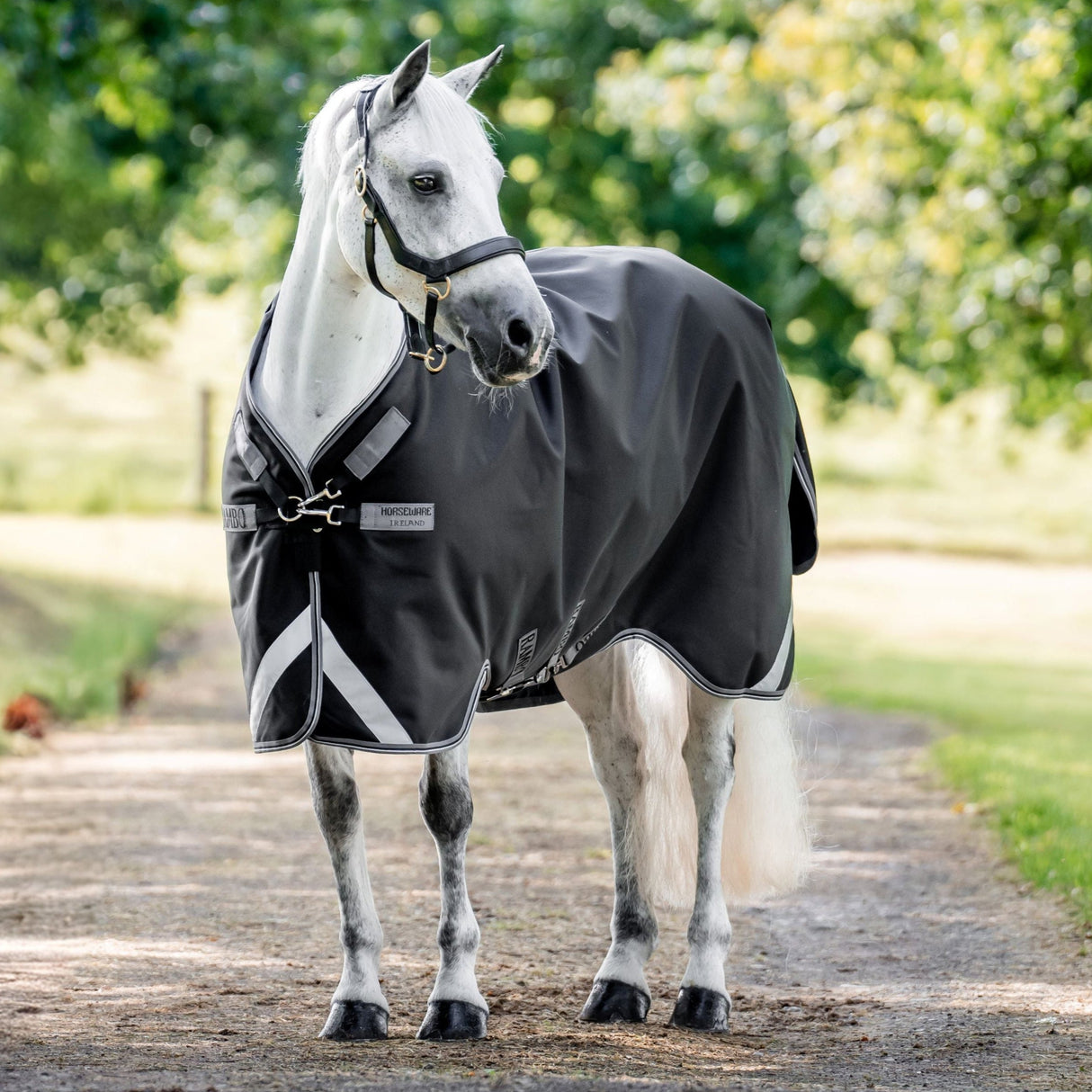 Horseware Ireland Rambo 1680D 0g Turnout Rug #colour_black-thunderstorm-grey-silver