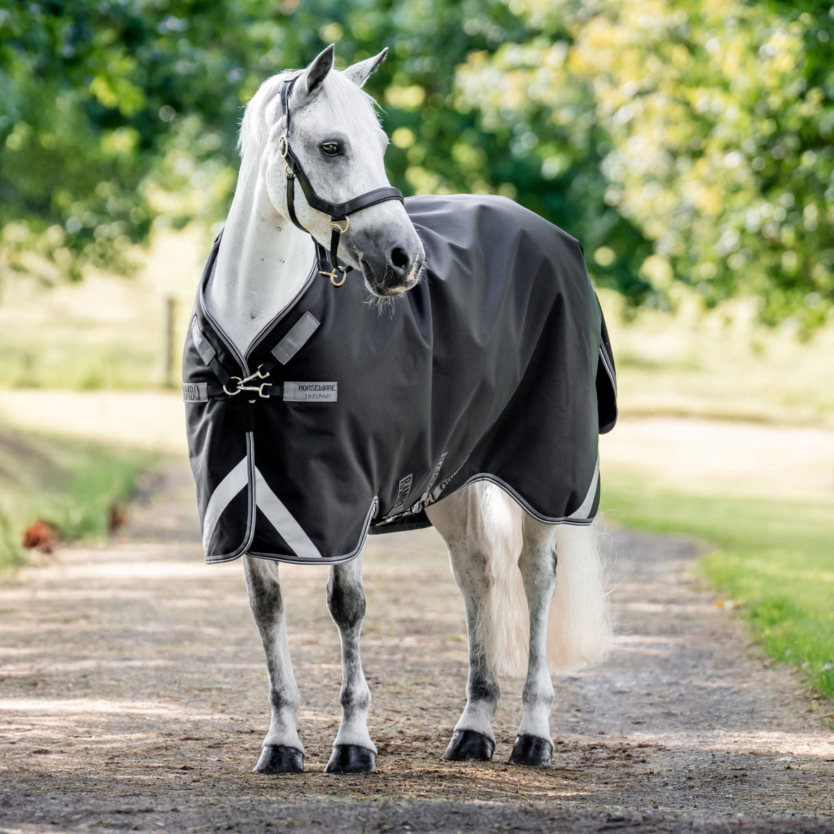 Horseware Ireland Rambo 1680D 100g Turnout Rug #colour_black-thunderstorm-grey-silver