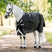 Horseware Ireland Rambo 1680D 50g Turnout Rug #colour_black-thunderstorm-grey-silver