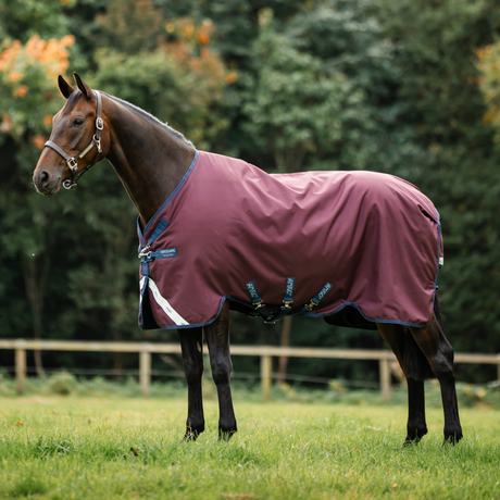 Horseware Ireland Amigo 1200D 50g Turnout Rug