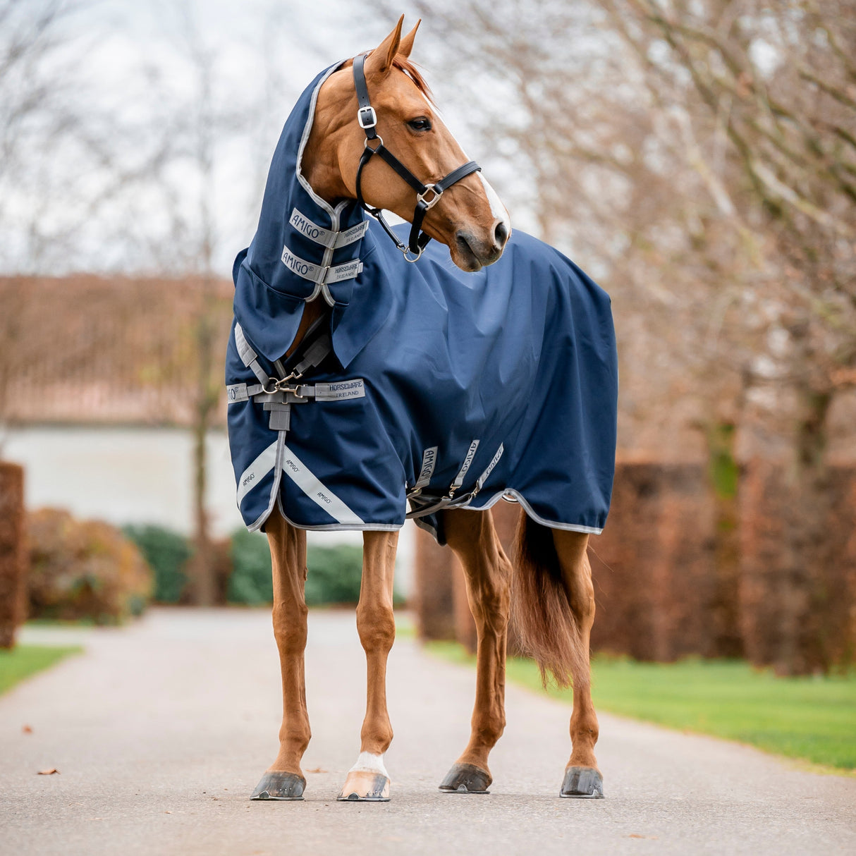 Horseware Ireland Amigo 1200D Integrated 150g Turnout Rug #colour_navy-titanium-grey-silver