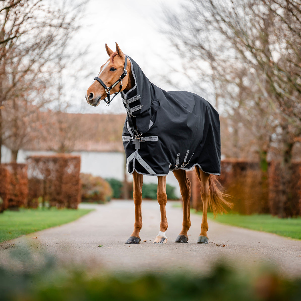Horseware Ireland Amigo 1200D Integrated 50g Turnout Rug #colours_black-titanium-grey-silver