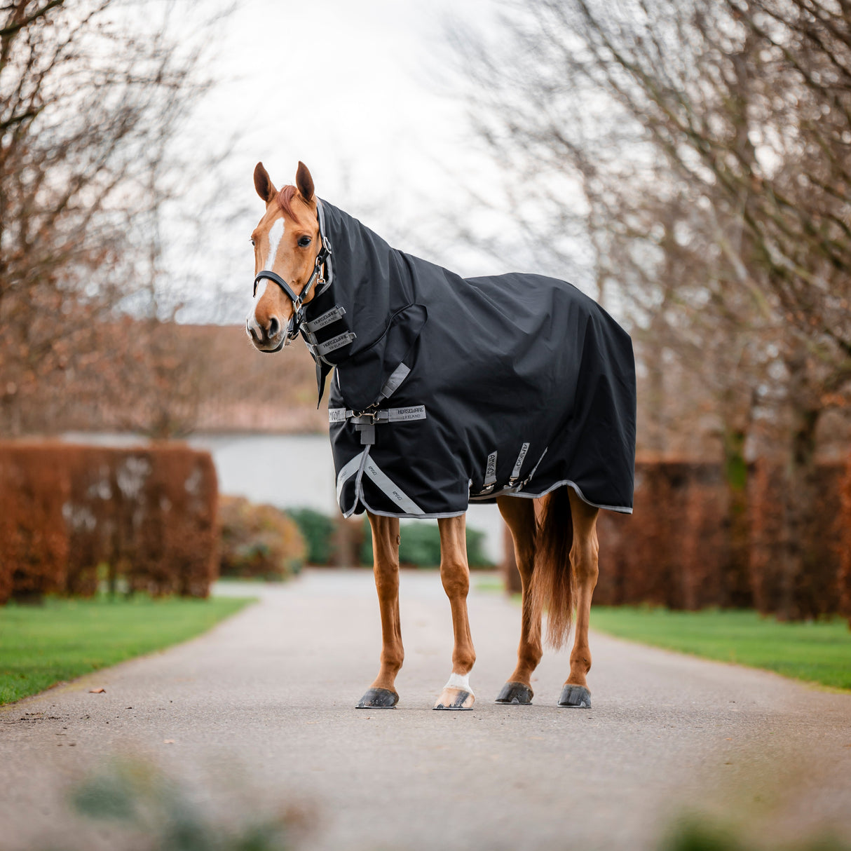 Horseware Ireland Amigo 1200D Integrated 50g Turnout Rug #colours_black-titanium-grey-silver