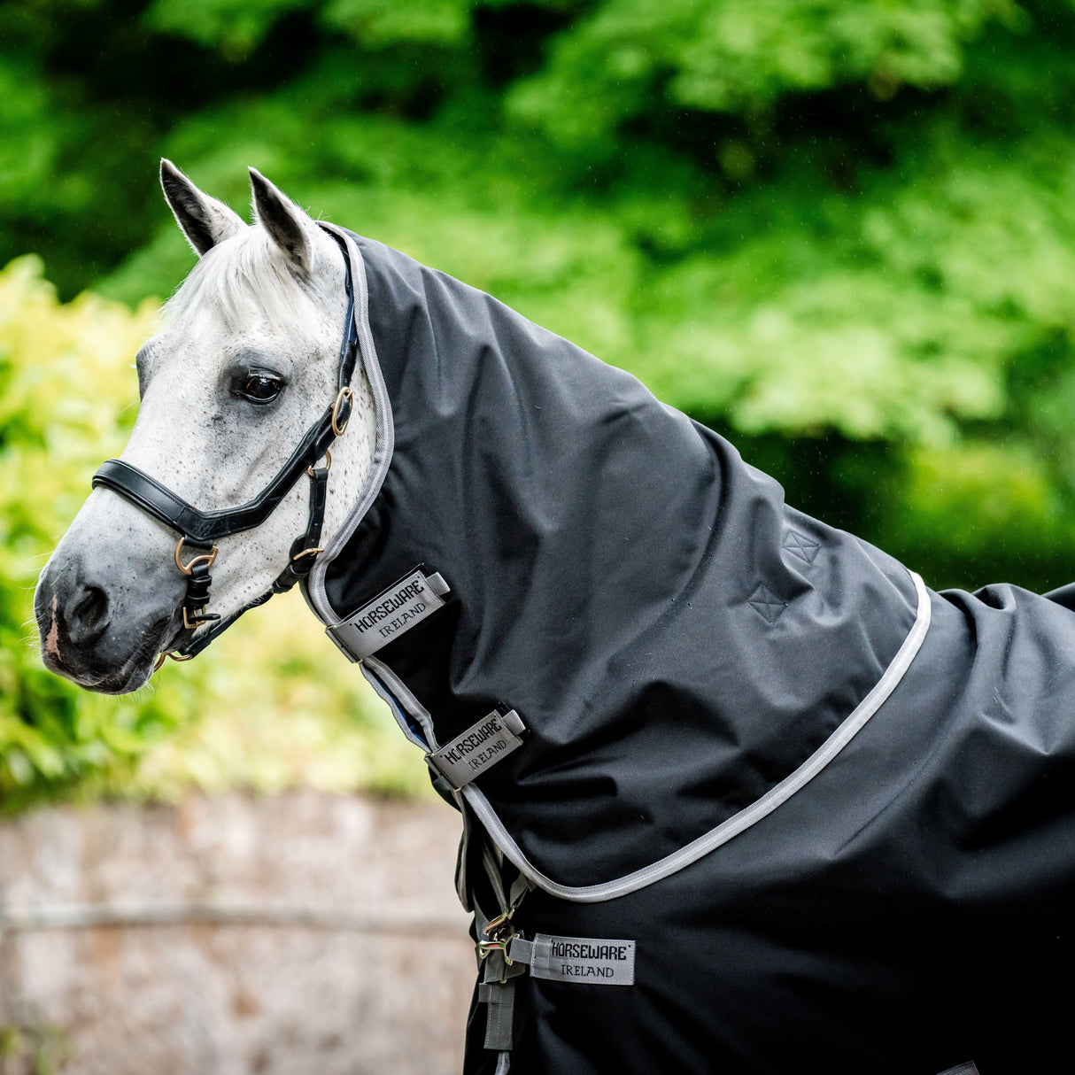 Horseware Ireland Amigo 1200D Plus 50g Turnout Rug #colour_black-titanium-grey-silver