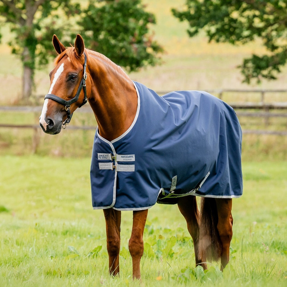 Horseware Ireland Amigo Ripstop 900D 100g Turnout Rug #colour_navy-titanium-grey